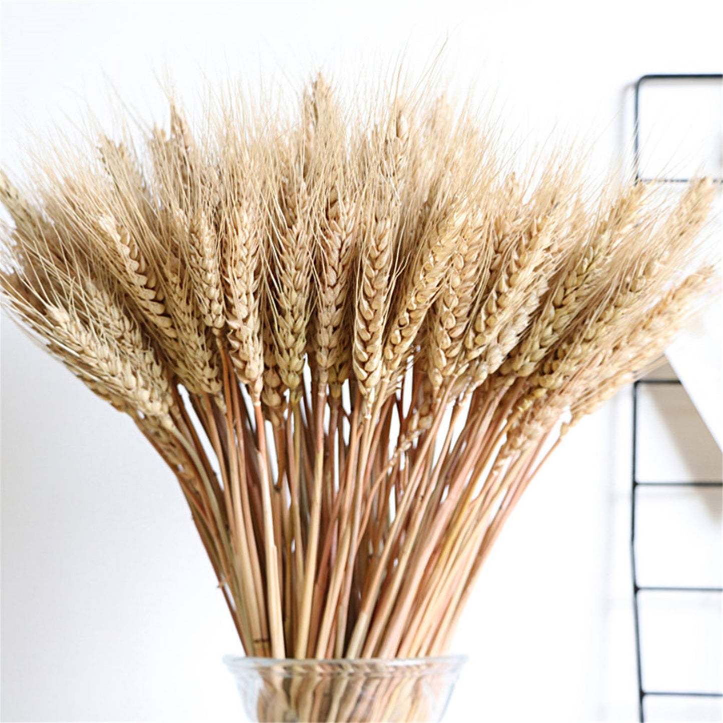 100ps Natural Wheat Ear Wheat Rice Ear Farmhouse Opening Barley Real Dried Flower Bouquet Pastoral Dry Branch Gift Wedding Decor