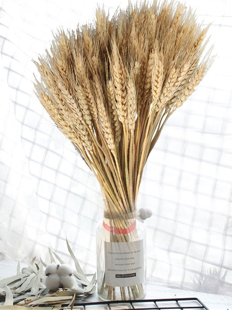 100ps Natural Wheat Ear Wheat Rice Ear Farmhouse Opening Barley Real Dried Flower Bouquet Pastoral Dry Branch Gift Wedding Decor